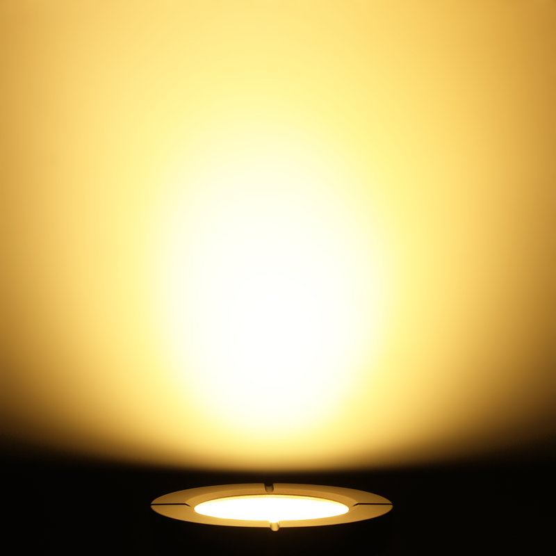 LEONLITE Commercial Grade LED InGround Pathway Light Landscape Well